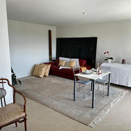 Lakeview Apartment-Lavaux 格兰瓦克斯 外观 照片